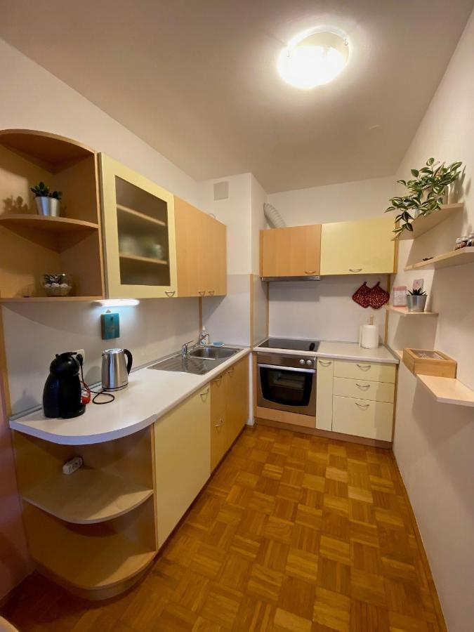 Apartma Felicija Lublana Zewnętrze zdjęcie